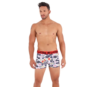cueca 1293